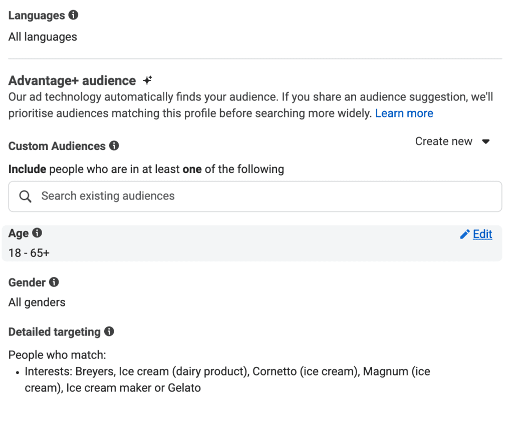 Meta Ad Manager Audience Targeting 
